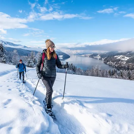 Eulennest - In Am Millstaetter Mit Bergblick & Sauna Apartament Seeboden